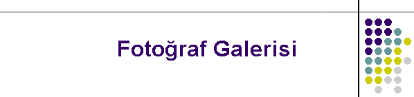 Fotoraf Galerisi